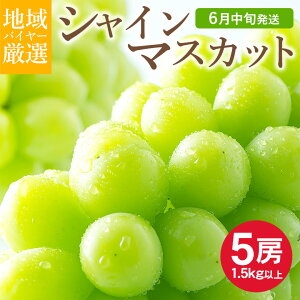 �y6�����{���珇���������z �������� �n�挵�I �V���C���}�X�J�b�g ��A�� 5�[ �� 1.5kg �ȏ� �n�E�X�͔| �R���� ���R�� ���쌧 ���쌧 ���ƒ�p �}�X�J�b�g �Ԃǂ� �M�t�g ������ ���������� 