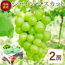 【9月初旬ら順次ご発送】 送料無料 地域厳選 シャインマスカット 2房 約650g 秀品 山梨県 岡山県 長野県 香川県 ご家庭用 マスカット ぶどう ギフト お中元 暑中見舞い 敬老の日 ギフト プレゼント