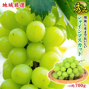 yzGi 1[  700g  VC}XJbg n挵I ƒp }XJbg Ԃǂ Mtg   󂠂 hV̓ Mtg v[g