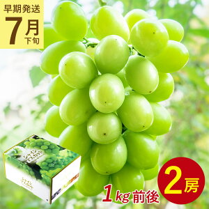 y7{菇z y 2[ 1kg O VC}XJbg z  n挵I  ƒp }XJbg Ԃǂ Mtg   󂠂 hV̓ Mtg v[g
