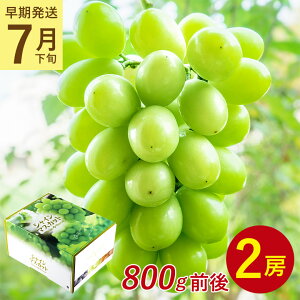 y7{菇zy 2[ 800g O VC}XJbg z  n挵I  ƒp }XJbg Ԃǂ Mtg   󂠂 hV̓ Mtg v[g