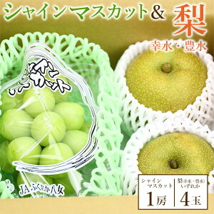 yzyn挵I VC}XJbg 1[  4ʃZbg z  n挵I VC}XJbg 1[  4 Zbg VC}XJbg 1[ 320g  1  270g ~ 300g ƒp }X