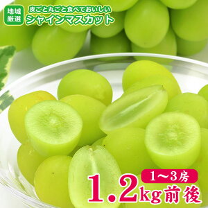yz\  n挵I VC}XJbg 1`3[ 1.2kg O ƒp }XJbg Ԃǂ Mtg   hV̓ Mtg v[g