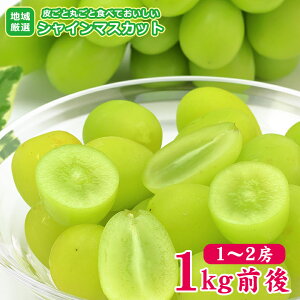 yz\  n挵I VC}XJbg 1`2[ 1kg O ƒp }XJbg Ԃǂ Mtg   hV̓ Mtg v[g