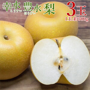 y9/5聚1ő100|CgobNIvGg[zy725菇zy K L 3 z  K L 1  300g \  n挵I ꌧY ꌧ  iV O 3 
