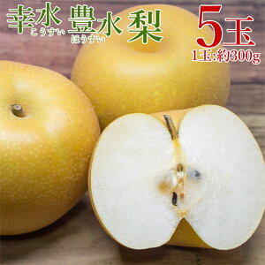 y725菇zy K L 5 z  K L 1  300g \  n挵I ꌧY ꌧ  iV O 5  Mtg v[g i p ʕ  t