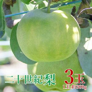 y9{菇z y \I 3 z  挧Y \I 20I 1  300g 3ʓ \IiV  ƒp  挧  20I Ȃ iV Gi p ʕ 