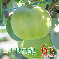 【順次ご発送中】 【 二十世紀梨 6玉 】 送料無料 地域厳選 鳥取県産 二十世紀梨 20世紀梨 1玉 約 300g 6…