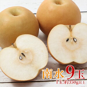 y10{珇zy n挵I 쐅 9ʁz  쐅 1  350gȏ  쐅 V z n挵I 쌧  iV 9 Mtg v[g p i ʕ  