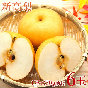 y10{珇zy n挵I V 6 z  V 6 1   350gO  V  K L ԗ n挵I V  iV Mtg v[g p 