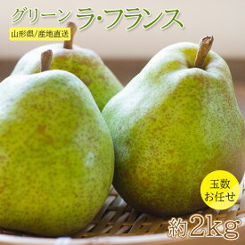 楽天市場 産地直送 品種 洋梨 ラ フランス 洋梨 フルーツ 果物 食品の通販