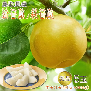 yz y Gi 挧Y VÐ HÐ  5 z( 1 290g~360g) p  1 290g~360g 񂩂񂹂A Gi  挧  ԗ 20I } Ȃ iV Mtg p 