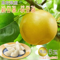 【順次ご発送中】 【 秀品 鳥取県産 新甘泉 秋甘泉 5玉 】( 1玉270g 前後 ) 贈答用 送料無料 1玉270g 前…