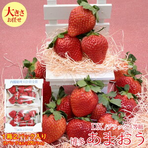 y1{ȍ~珇z    ܂  C`S ܂  Gi  嗱 2L ȏ 1 2pbN 270g 2pbN DX fbNX  傫oo Gi 