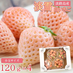 白 いちご 食品の人気商品 通販 価格比較 価格 Com