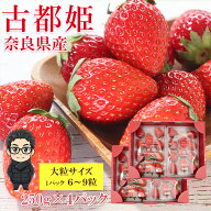 【順次ご発送中】【 古都姫 大粒 250g × 2パック 】送料無料 奈良県産 いちご 大粒 250g 2パック入り い…