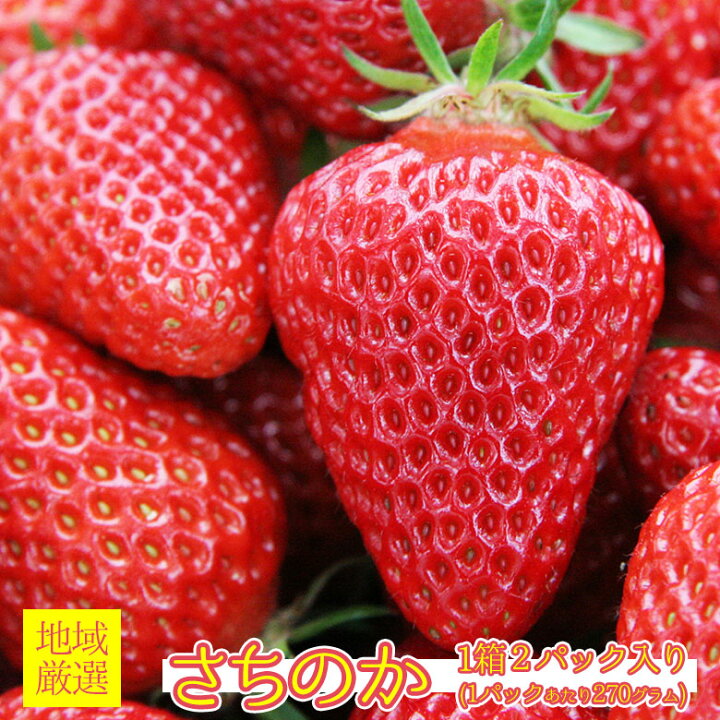 90円 新品未使用正規品 苺 いちご さちのか イチゴ