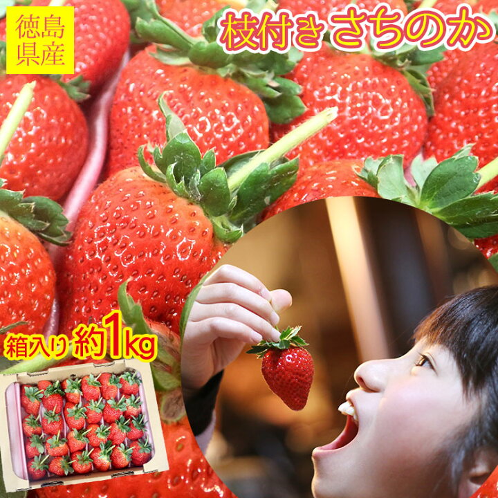 90円 新品未使用正規品 苺 いちご さちのか イチゴ