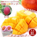 レビュー★4.64【4月より順次ご発送】 【 宮崎完熟マンゴー 900g以上 3L 2玉 (450g×2) 】 送料無料 宮崎マンゴー 完…