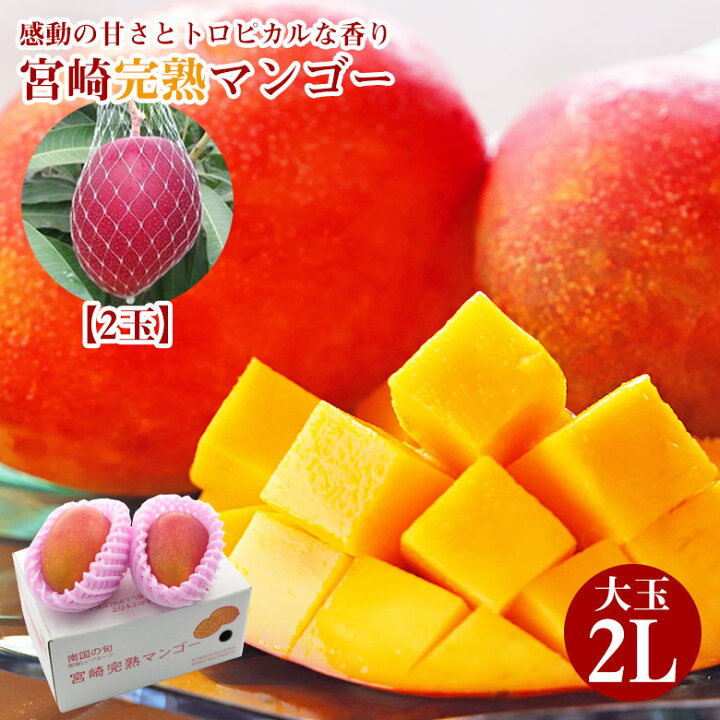 楽天市場】レビュー☆4.63【6月末発送】☆先行予約特別価格☆ 送料無料 
