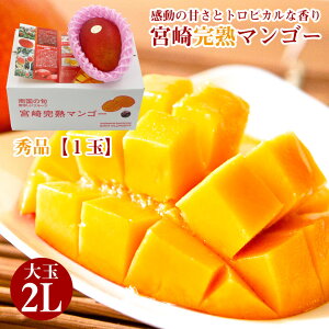 �y7/25���聚1���ő�100���|�C���g�o�b�N�I���v�G���g���[�z�y4�����{�ȍ~���珇���������z �y �{�芮�n�}���S�[ 2L 1�� �z �������� �{�芮�n�}���S�[ �{��}���S�[ ���n�}���S�[ �{�� ��� 2