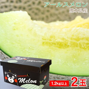 【順次ご発送】【 アールスメロン 2玉 】ギフト 送料無料 熊本県 産 メロン マスクメロン クラウンメロン メロン 高級 メロン 大玉サイズ 1.2kg 2玉 メロン ギフト ご自宅用 果物 くだもの ギフ