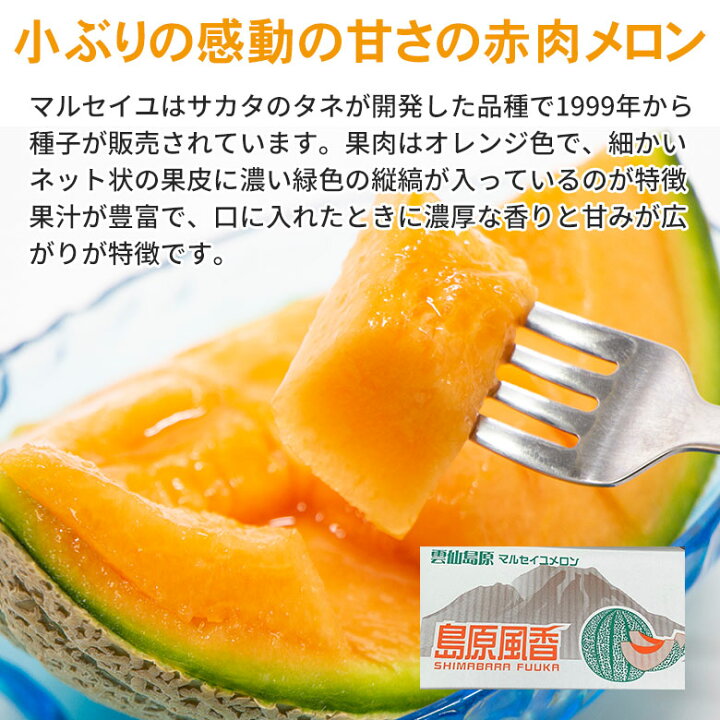 楽天市場】【6月10日頃から順次ご発送】【 マルセイユメロン 4玉 〜 5 