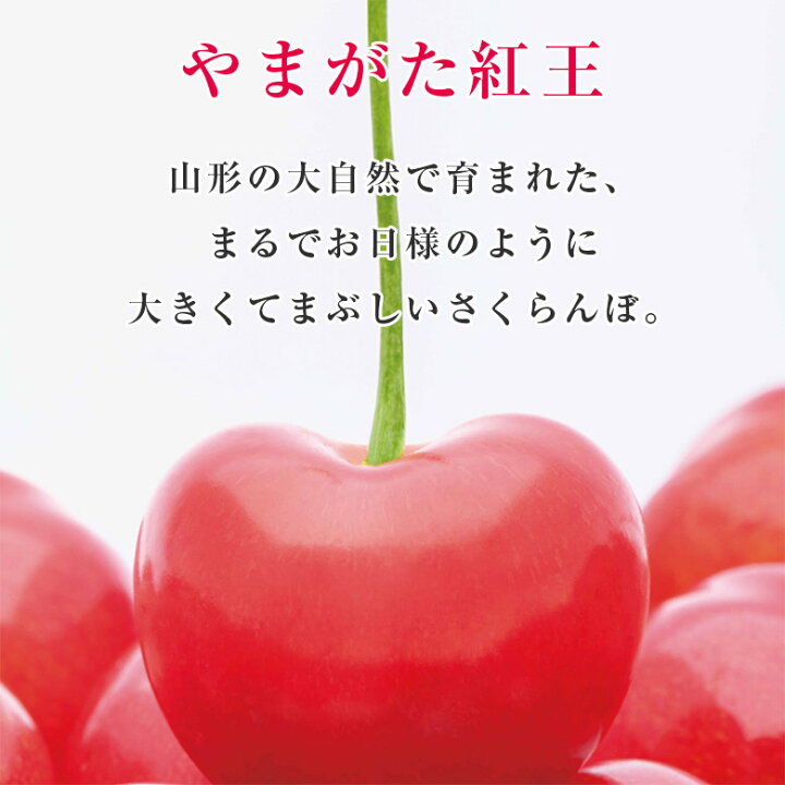 楽天市場】【6月末発送】 送料無料 やまがた紅王 2L 約500g さくらんぼ 