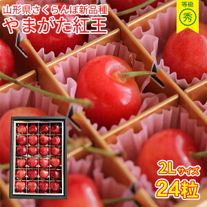 �y6�����{���珇���������z �������� ��܂����g�� 2L 24�� �������� �R�`�������� �T�N�����{ ��� �R�`�� �R�` �g�� �V�i�� �Y�n���� �G�i ���� �G �M�t�g ���蕨 ���̓� �v���[���g