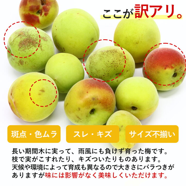 楽天市場】【300円クーポン配布】【6月初旬から順次ご発送】 【 南高梅 