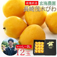 【4月中旬以降から順次ご発送】 【 長崎茂木びわ 化粧 L 2Lサイズ 12玉】玄海農園 送料無料 産地直送 長…