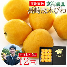 【4月中旬以降から順次ご発送】 【 長崎茂木びわ 化粧 L 2Lサイズ 12玉】玄海農園 送料無料 産地直送 長崎茂木びわ 茂木びわ 長崎びわ 長崎県 長崎県産 茂木 びわ ビワ 枇杷 化粧 L 2Lサイズ 12玉 国産 ご自宅用 果物 くだもの フルーツ ギフト 訳あり