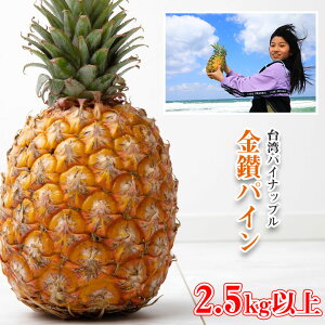 パイナップル プレゼントの人気商品 通販 価格比較 価格 Com