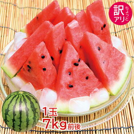 【6月下旬発送】 【 ちょっと訳あり すいか 1玉 約7kg 】 送料無料 ちょっと訳あり すいか 鳥取県 鳥取県産 石川県 石川県産 長野県 長野県産 山形県 山形県産 スイカ 地域厳選 1玉 7kg 前後 西瓜 熊本すいか 母の日 父の日 ご家庭用 ご自宅用 果物 くだもの フルーツ ギフト