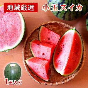 父の日 スイカ フルーツの人気商品 通販 価格比較 価格 Com 父の日 スイカ フルーツの人気商品 通販 価格比較 価格 Com