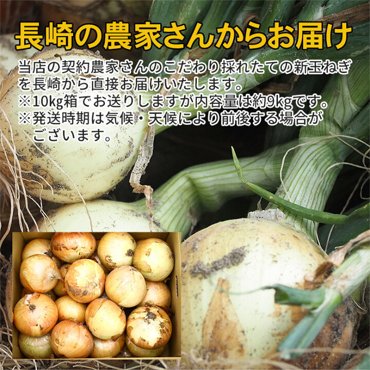 楽天市場】【4月下旬以降から順次ご発送】【 産地直送 長崎県産 塩