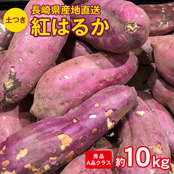 楽天市場】【11月初旬から順次ご発送】産地直送 長崎県産 長崎紅はるか