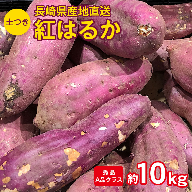 産地直送 長崎県産 長崎紅はるか 秀品 A品クラス 約10kg 送料無料 長崎県 長崎 さつまいも サツマイモ さつま芋 芋 焼き芋 紅はるか 甘い 箱買い 通販 おすすめ 訳あり