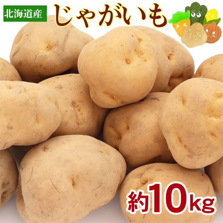 楽天市場】【8月下旬より順次発送】 じゃがいも 送料無料 北海道産 約 