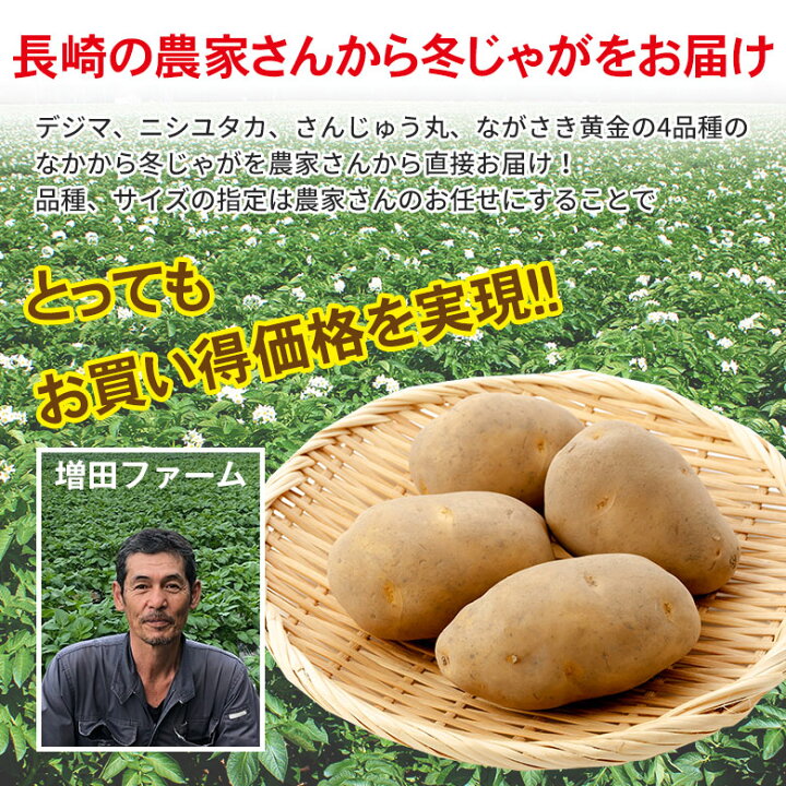 楽天市場 22 予約受付中 送料無料 秀品 産地直送 長崎県産 じゃがいも 冬じゃが 冬じゃがいも Lサイズ 約 5kg 馬鈴薯 ニシユタカ テジマ さんじゅう丸 ながさき黄金 じゃがいも くだもの観覧車 楽天市場 22 予約受付中 送料無料 秀品 産地直送 長崎県産 じゃがいも 冬じゃが 冬じゃがいも Lサイズ 約 5kg 馬鈴薯 ニシユタカ テジマ さんじゅう丸 ながさき黄金 じゃがいも くだもの観覧車