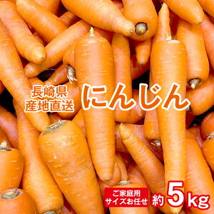 y11{ȍ~珇z  lQ ɂ񂶂 jW ƒp TCYC 茧Y  J[ V`[   5kg TCY Yn 