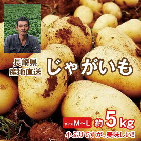 楽天市場 新じゃがいも じゃがいもの通販