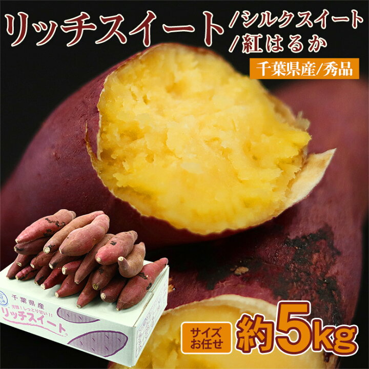 楽天市場】【順次発送中】 【 リッチスイート シルクスイート 紅はるか 