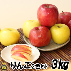 2FZbg3kgi9`11ʁjyzь@l@@Mtg