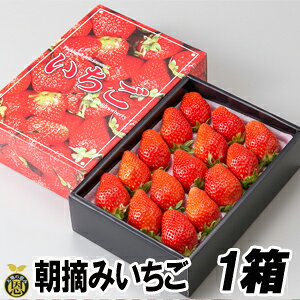 E݂iϔj1yzƂꂽā@䕁@ Mtg