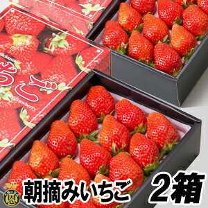 E݂iϔj2yzƂꂽā@䕁@ Mtg