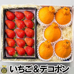 1fR|4`5yzF{Y@fR|@Ƃꂽā@䕁@ Mtg