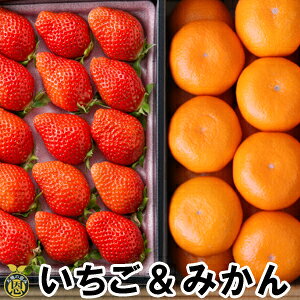 1݂2.6kgyzF{Y@݂@Ƃꂽā@䕁@ Mtg