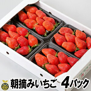 E݂i4pbNjyzƂꂽā@䕁@ Mtg