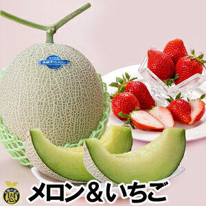 yzF{Y@@Ƃꂽā@䕁@ Mtg